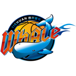 四川队